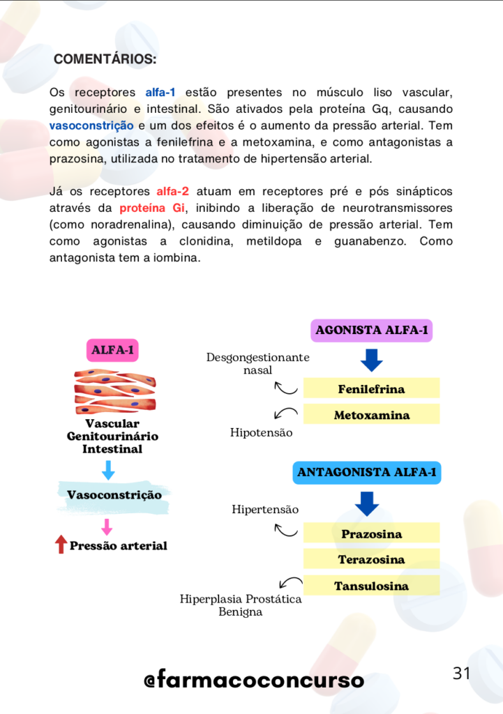 Imagem 6
